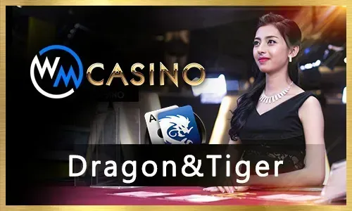 Wild Fortune Slot Game